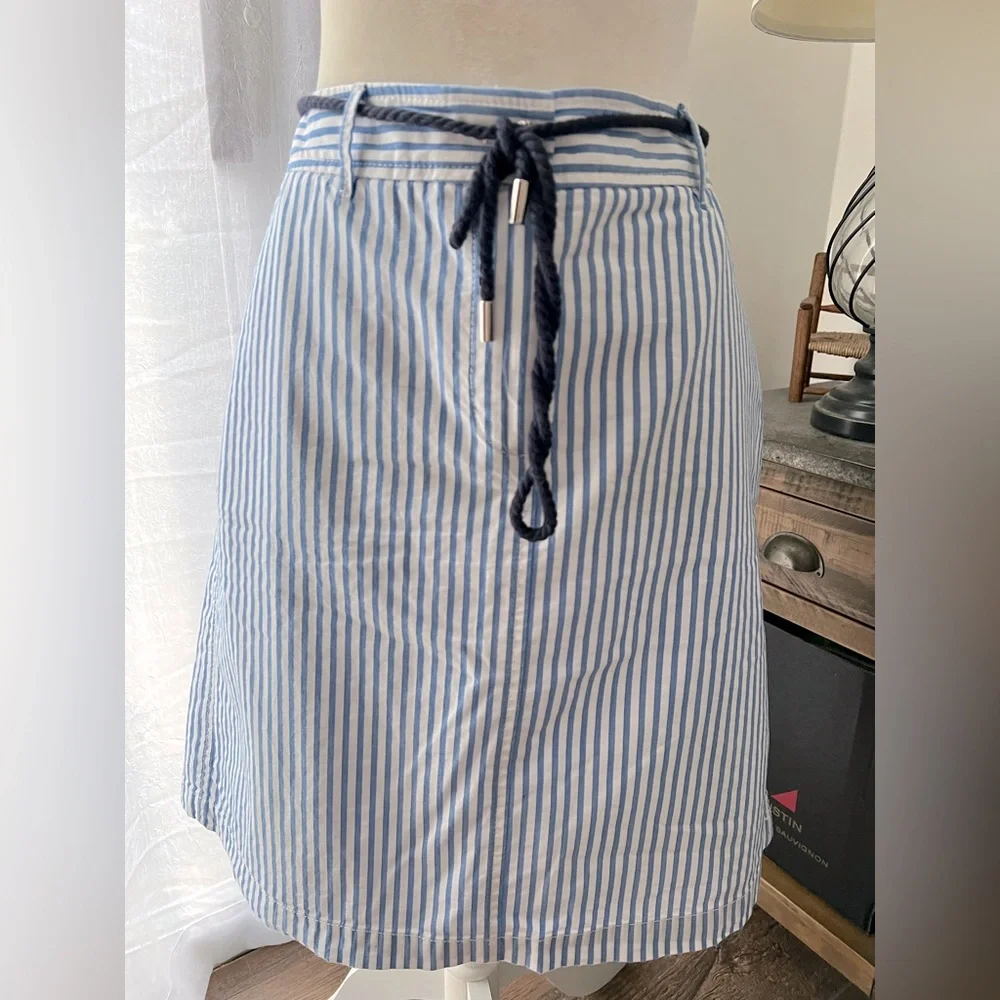 Talbots Striped Blue and White Skirt - Picture 2 of 7